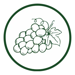 CorsyMAX12x: Aumenta la Tua Energia e Resistenza Naturale! 16 grape